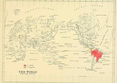 Reproducción/Reproduction 49522132513: A monograph of the Hirundinidae or family of swallows. London :Henry Sotheran & Co.,1885-1894.. 
