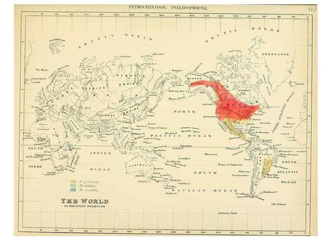 Reproducción/Reproduction 49522866097: A monograph of the Hirundinidae or family of swallows. London :Henry Sotheran & Co.,1885-1894.. 