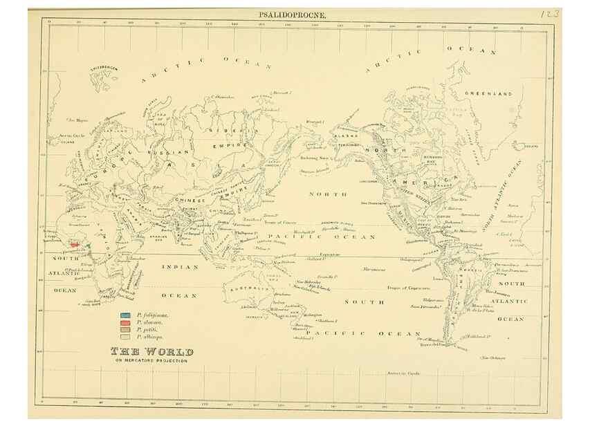 Reproducción/Reproduction 49522650926: A monograph of the Hirundinidae or family of swallows. London :Henry Sotheran & Co.,1885-1894.. 