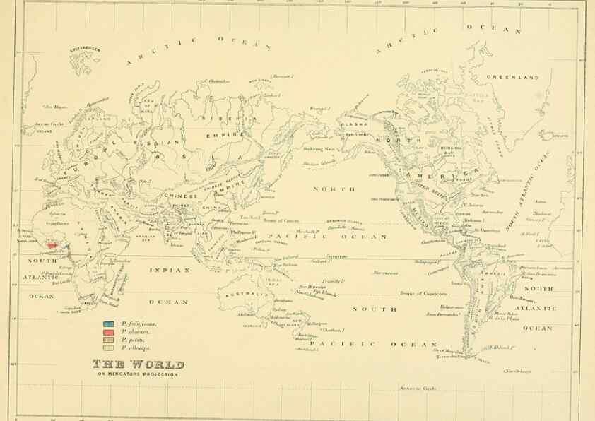 Reproducción/Reproduction 49522650926: A monograph of the Hirundinidae or family of swallows. London :Henry Sotheran & Co.,1885-1894.. 