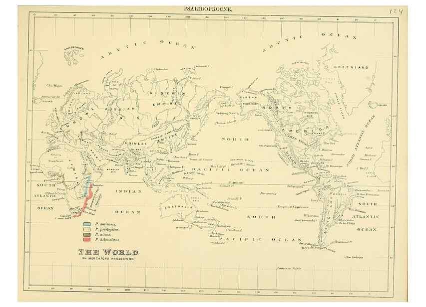 Reproducción/Reproduction 49522868917: A monograph of the Hirundinidae or family of swallows. London :Henry Sotheran & Co.,1885-1894.. 