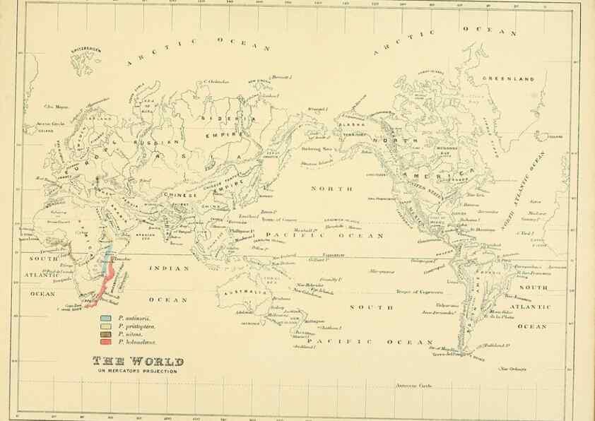 Reproducción/Reproduction 49522868917: A monograph of the Hirundinidae or family of swallows. London :Henry Sotheran & Co.,1885-1894.. 
