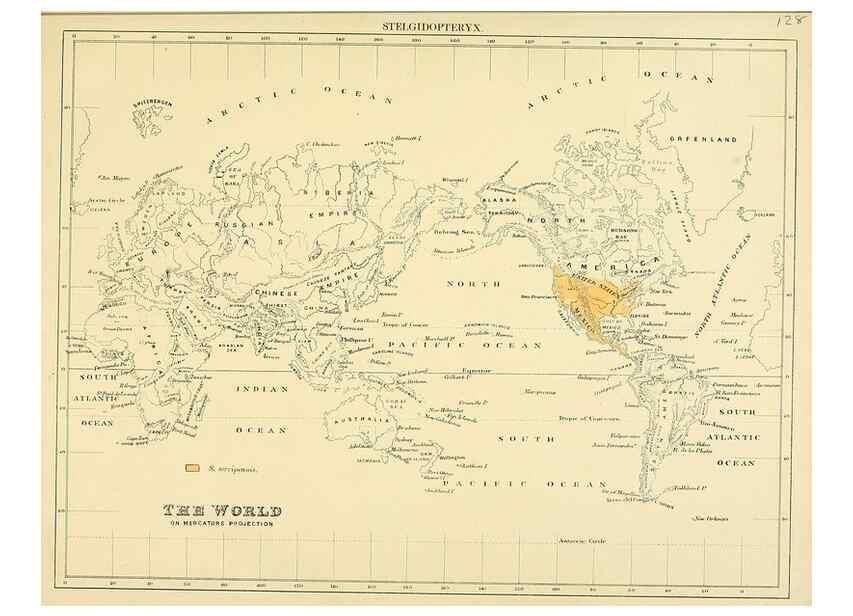 Reproducción/Reproduction 49522652226: A monograph of the Hirundinidae or family of swallows. London :Henry Sotheran & Co.,1885-1894.. 