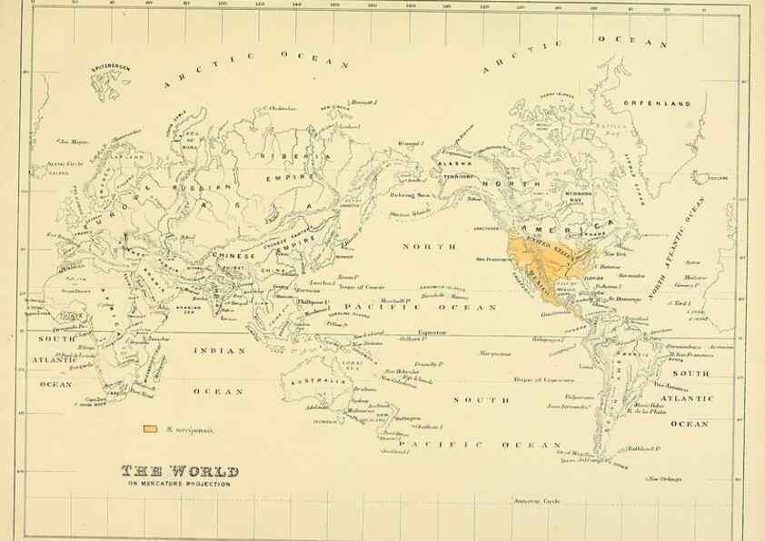 Reproducción/Reproduction 49522652226: A monograph of the Hirundinidae or family of swallows. London :Henry Sotheran & Co.,1885-1894.. 
