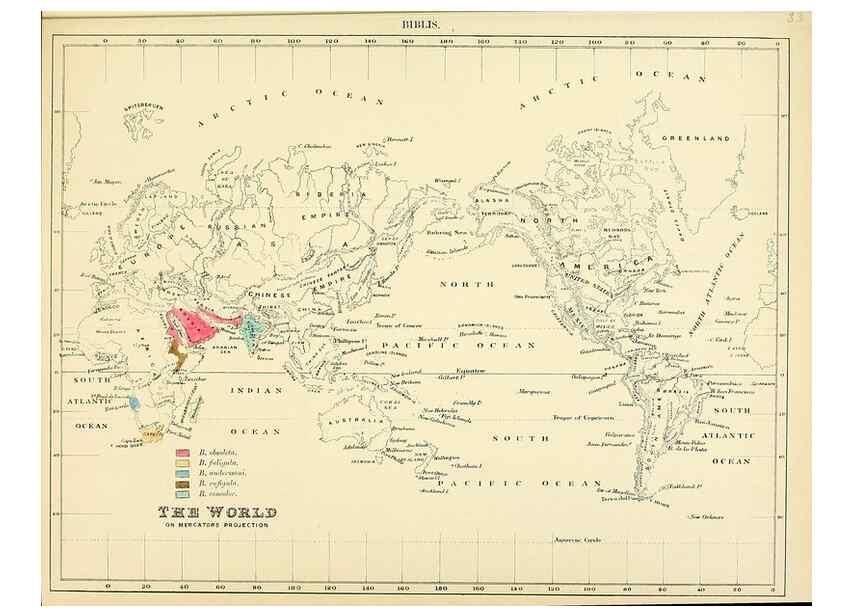 Reproducción/Reproduction 49522629021: A monograph of the Hirundinidae or family of swallows. London :Henry Sotheran & Co.,1885-1894.. 