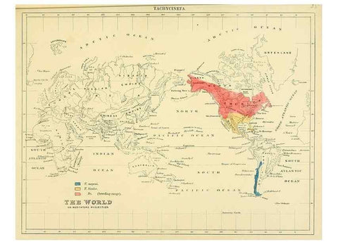 Reproducción/Reproduction 49522846627: A monograph of the Hirundinidae or family of swallows. London :Henry Sotheran & Co.,1885-1894.. 
