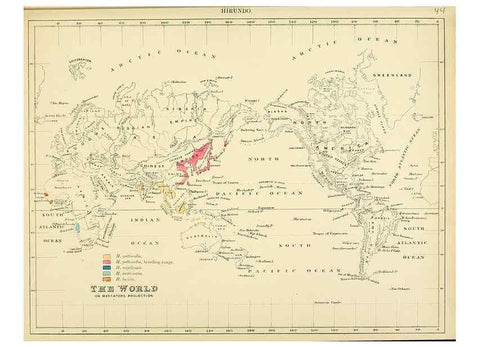 Reproducción/Reproduction 49522848637: A monograph of the Hirundinidae or family of swallows. London :Henry Sotheran & Co.,1885-1894.. 