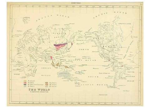 Reproducción/Reproduction 49522848852: A monograph of the Hirundinidae or family of swallows. London :Henry Sotheran & Co.,1885-1894.. 