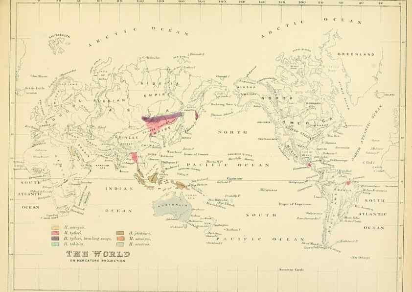 Reproducción/Reproduction 49522848852: A monograph of the Hirundinidae or family of swallows. London :Henry Sotheran & Co.,1885-1894.. 