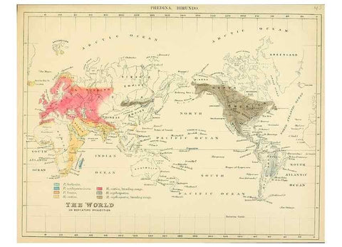 Reproducción/Reproduction 49522111283: A monograph of the Hirundinidae or family of swallows. London :Henry Sotheran & Co.,1885-1894.. 