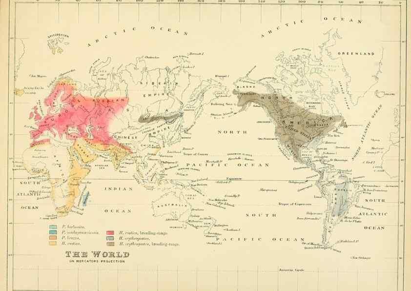 Reproducción/Reproduction 49522111283: A monograph of the Hirundinidae or family of swallows. London :Henry Sotheran & Co.,1885-1894.. 