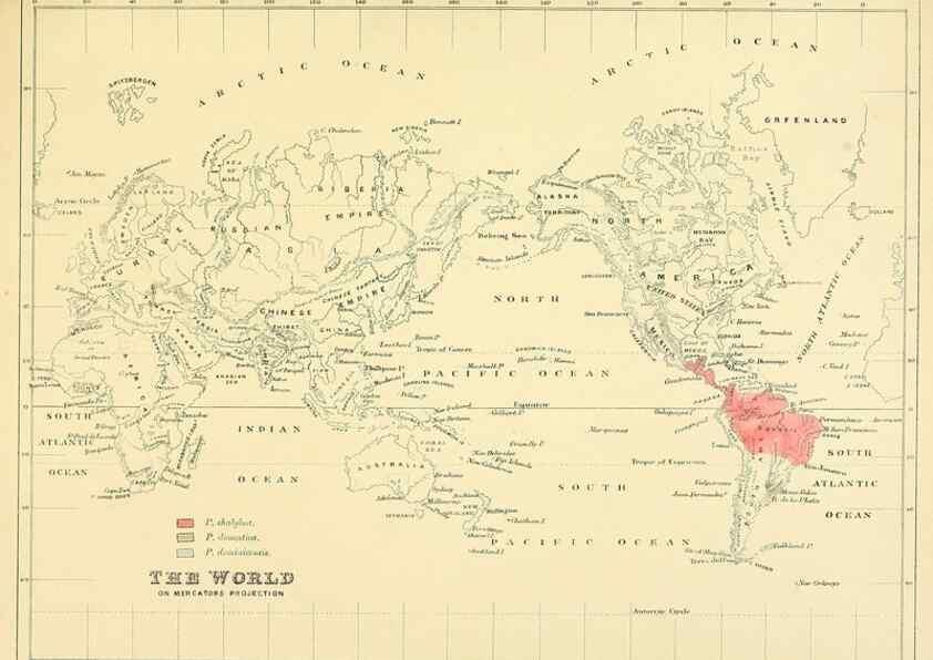 Reproducción/Reproduction 49522123733: A monograph of the Hirundinidae or family of swallows. London :Henry Sotheran & Co.,1885-1894.. 