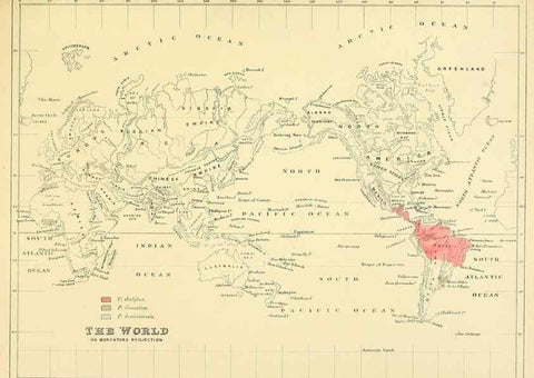 Reproducción/Reproduction 49522123733: A monograph of the Hirundinidae or family of swallows. London :Henry Sotheran & Co.,1885-1894.. 