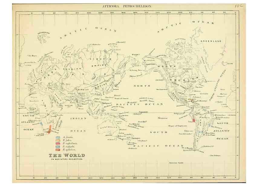 Reproducción/Reproduction 49522645506: A monograph of the Hirundinidae or family of swallows. London :Henry Sotheran & Co.,1885-1894.. 