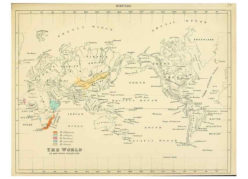 Reproducción/Reproduction 49522857207: A monograph of the Hirundinidae or family of swallows. London :Henry Sotheran & Co.,1885-1894.. 