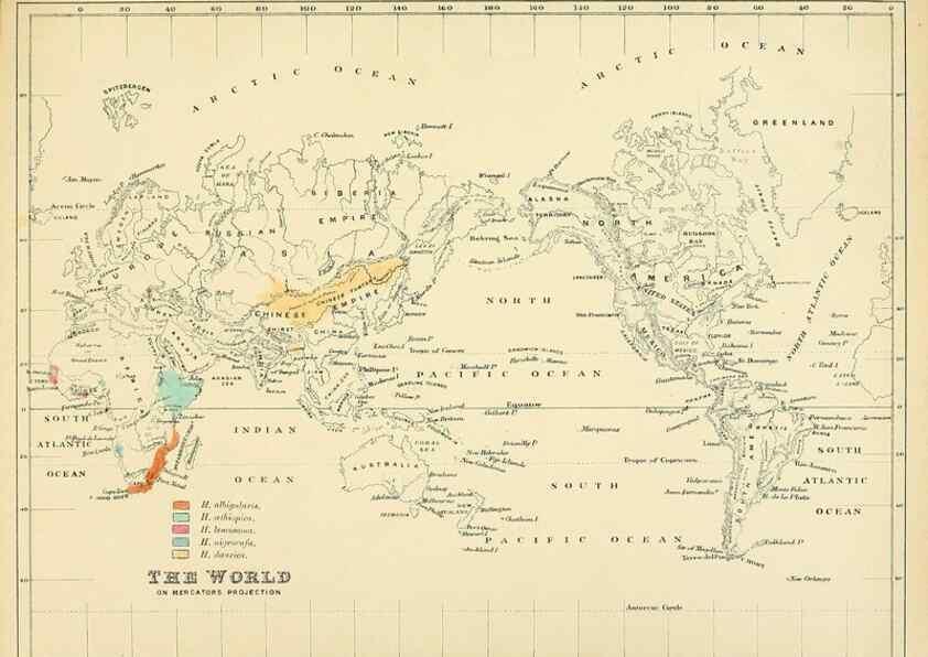 Reproducción/Reproduction 49522857207: A monograph of the Hirundinidae or family of swallows. London :Henry Sotheran & Co.,1885-1894.. 
