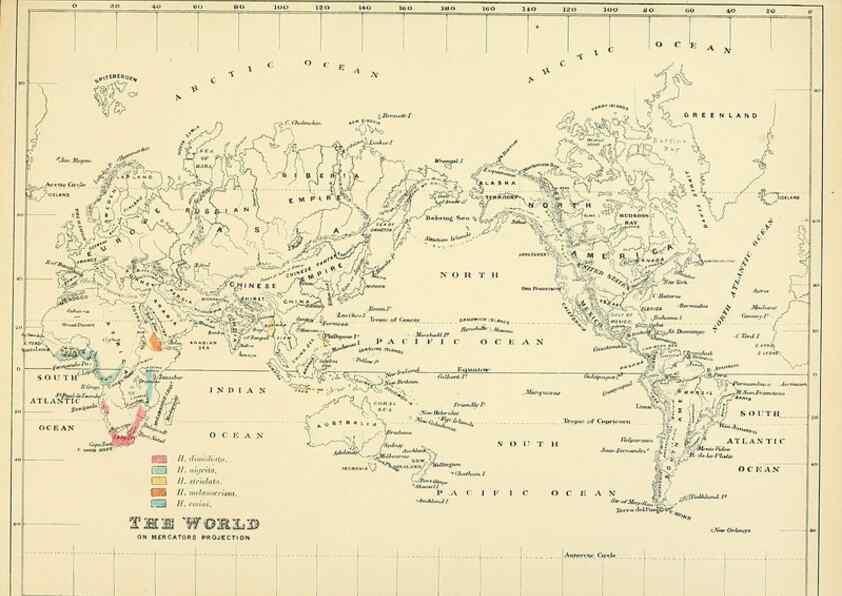 Reproducción/Reproduction 49522639811: A monograph of the Hirundinidae or family of swallows. London :Henry Sotheran & Co.,1885-1894.. 