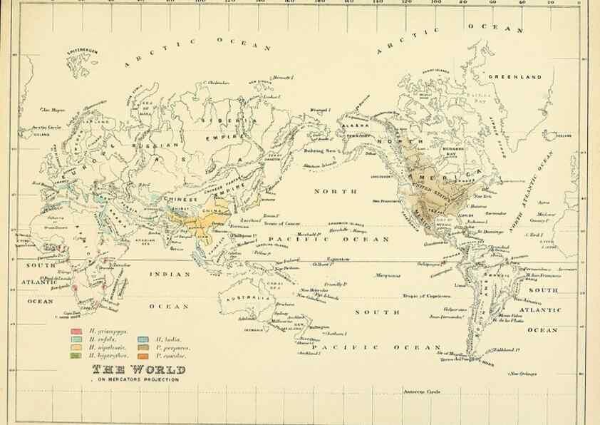 Reproducción/Reproduction 49522858002: A monograph of the Hirundinidae or family of swallows. London :Henry Sotheran & Co.,1885-1894.. 