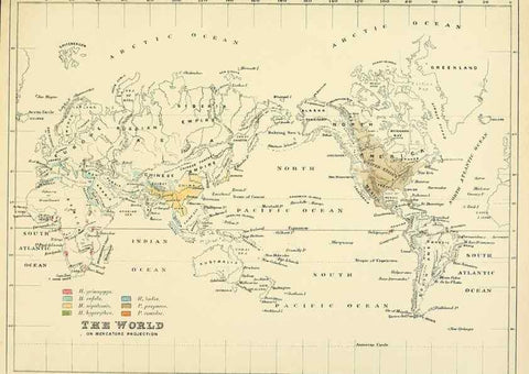 Reproducción/Reproduction 49522858002: A monograph of the Hirundinidae or family of swallows. London :Henry Sotheran & Co.,1885-1894.. 