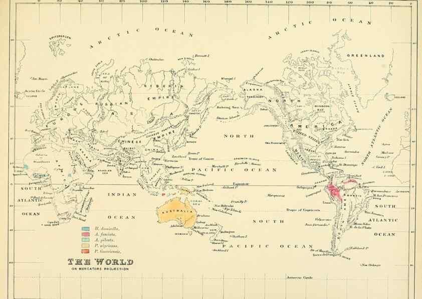 Reproducción/Reproduction 49522120823: A monograph of the Hirundinidae or family of swallows. London :Henry Sotheran & Co.,1885-1894.. 