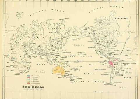 Reproducción/Reproduction 49522120823: A monograph of the Hirundinidae or family of swallows. London :Henry Sotheran & Co.,1885-1894.. 