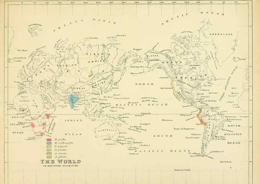 Reproducción/Reproduction 49522640616: A monograph of the Hirundinidae or family of swallows. London :Henry Sotheran & Co.,1885-1894.. 