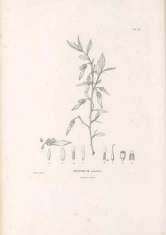 Reproducción/Reproduction 49521714946: Nova genera et species plantarum :. Antverpiae :Ex officina Christophori Plantini ...,1576.. 