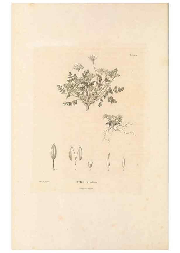 Reproducción/Reproduction 49521904672: Nova genera et species plantarum :. Antverpiae :Ex officina Christophori Plantini ...,1576.. 