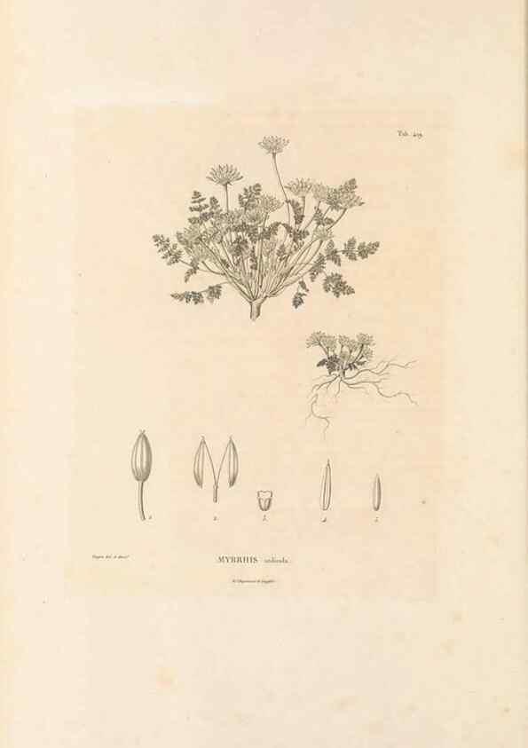 Reproducción/Reproduction 49521904672: Nova genera et species plantarum :. Antverpiae :Ex officina Christophori Plantini ...,1576.. 