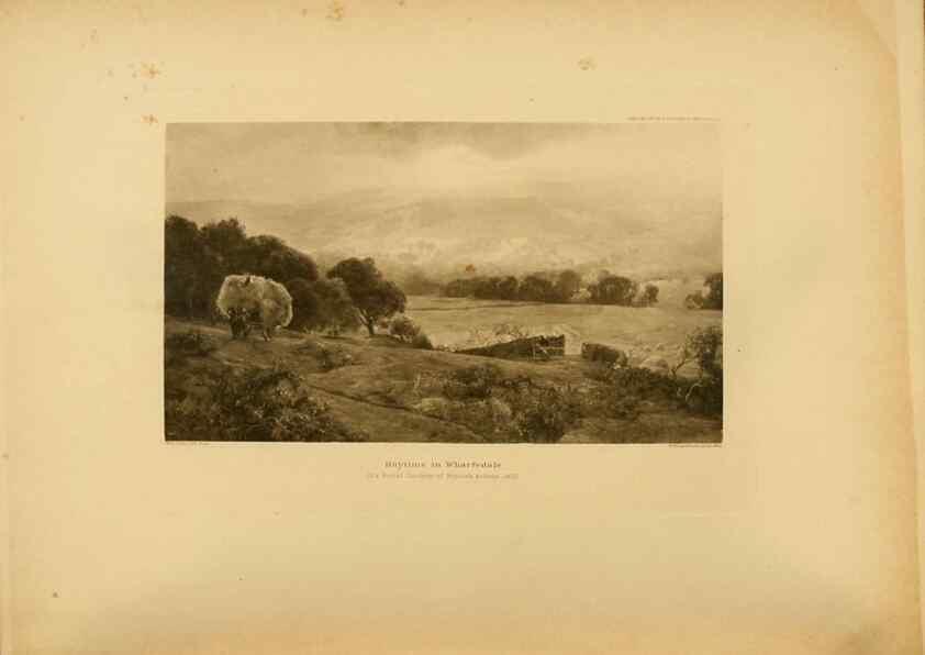 Reproducción/Reproduction 49553687977: British trees /. London :Hutchinson,1907.. 