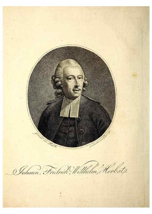 Reproducción/Reproduction 49533537173: Versuch einer Naturgeschichte der Krabben und Krebse :. Berlin ;Bei Gottlieb August Lange,1782-1804.. 