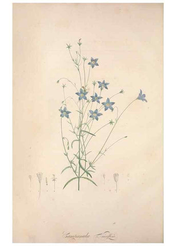 Reproducción/Reproduction 49499365186: Jardin de la Malmaison. A Paris :De l'imprimerie de Crapelet, et se trouve chez l'auteur ...,1803-1804.. 