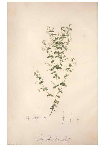 Reproducción/Reproduction 49499590867: Jardin de la Malmaison. A Paris :De l'imprimerie de Crapelet, et se trouve chez l'auteur ...,1803-1804.. 