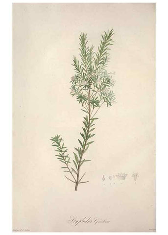 Reproducción/Reproduction 49499368261: Jardin de la Malmaison. A Paris :De l'imprimerie de Crapelet, et se trouve chez l'auteur ...,1803-1804.. 