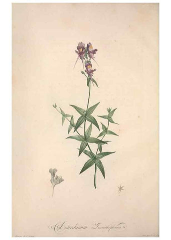 Reproducción/Reproduction 49499589757: Jardin de la Malmaison. A Paris :De l'imprimerie de Crapelet, et se trouve chez l'auteur ...,1803-1804.. 