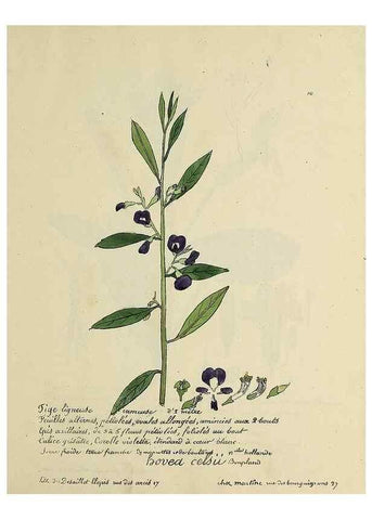Reproducción/Reproduction 49501521992: Flore universelle. Saint-Denis :Au Bureau et chez Meilhac :[1848]-[1849]. 