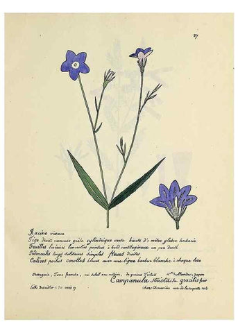 Reproducción/Reproduction 49501304416: Flore universelle. Saint-Denis :Au Bureau et chez Meilhac :[1848]-[1849]. 