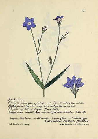 Reproducción/Reproduction 49501304416: Flore universelle. Saint-Denis :Au Bureau et chez Meilhac :[1848]-[1849]. 