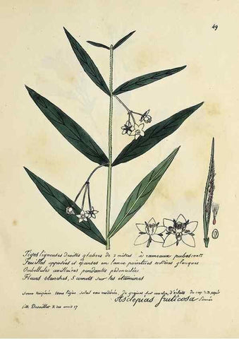 Reproducción/Reproduction 49501533377: Flore universelle. Saint-Denis :Au Bureau et chez Meilhac :[1848]-[1849]. 