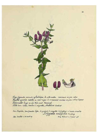 Reproducción/Reproduction 49501305796: Flore universelle. Saint-Denis :Au Bureau et chez Meilhac :[1848]-[1849]. 