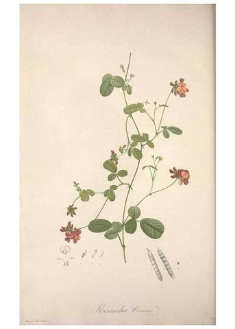 Reproducción/Reproduction 49499468981: Jardin de la Malmaison. A Paris :De l'imprimerie de Crapelet, et se trouve chez l'auteur ...,1803-1804.. 