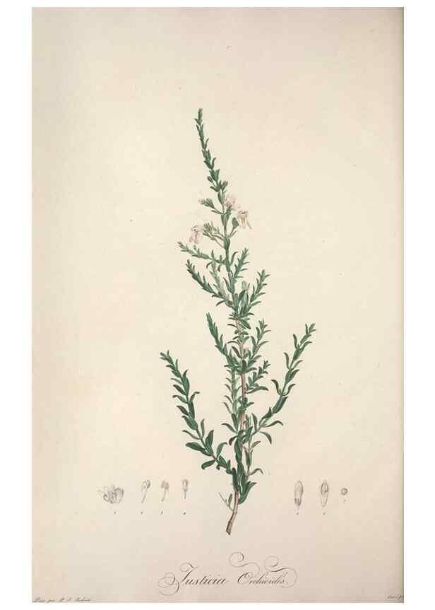 Reproducción/Reproduction 49498877313: Jardin de la Malmaison. A Paris :De l'imprimerie de Crapelet, et se trouve chez l'auteur ...,1803-1804.. 