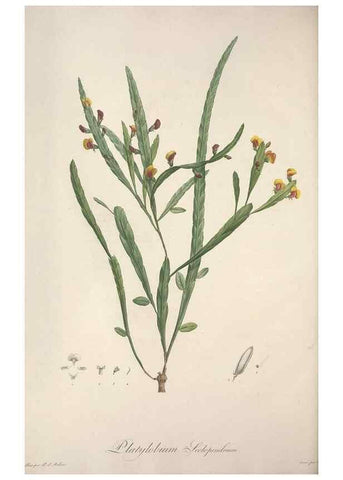 Reproducción/Reproduction 49499377751: Jardin de la Malmaison. A Paris :De l'imprimerie de Crapelet, et se trouve chez l'auteur ...,1803-1804.. 