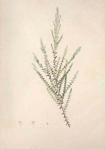 Reproducción/Reproduction 49499602922: Jardin de la Malmaison. A Paris :De l'imprimerie de Crapelet, et se trouve chez l'auteur ...,1803-1804.. 