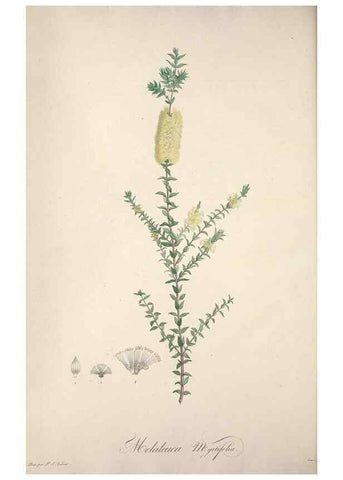 Reproducción/Reproduction 49498876228: Jardin de la Malmaison. A Paris :De l'imprimerie de Crapelet, et se trouve chez l'auteur ...,1803-1804.. 
