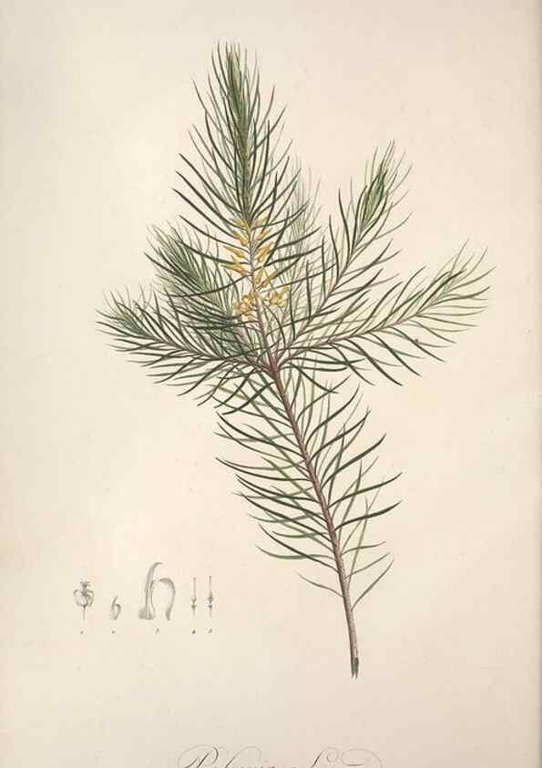 Reproducción/Reproduction 49498871223: Jardin de la Malmaison. A Paris :De l'imprimerie de Crapelet, et se trouve chez l'auteur ...,1803-1804.. 