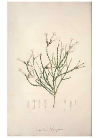 Reproducción/Reproduction 49499595822: Jardin de la Malmaison. A Paris :De l'imprimerie de Crapelet, et se trouve chez l'auteur ...,1803-1804.. 