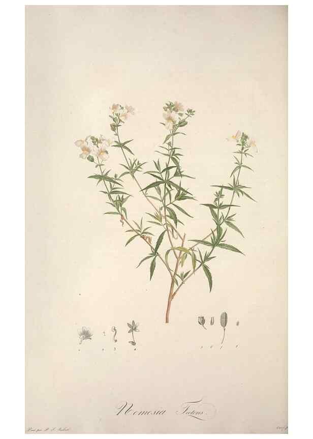 Reproducción/Reproduction 49499598387: Jardin de la Malmaison. A Paris :De l'imprimerie de Crapelet, et se trouve chez l'auteur ...,1803-1804.. 