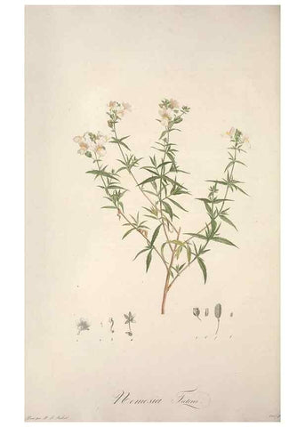 Reproducción/Reproduction 49499598387: Jardin de la Malmaison. A Paris :De l'imprimerie de Crapelet, et se trouve chez l'auteur ...,1803-1804.. 