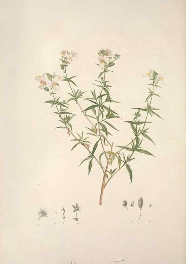 Reproducción/Reproduction 49499598387: Jardin de la Malmaison. A Paris :De l'imprimerie de Crapelet, et se trouve chez l'auteur ...,1803-1804.. 